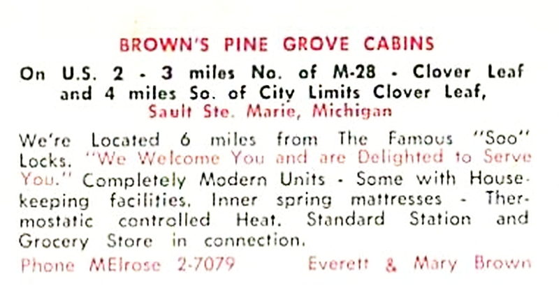 Browns Pine Grove Cabins - Vintage Postcard